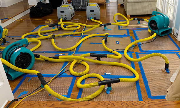 Professional Water Extraction technician working in Toledo, IA